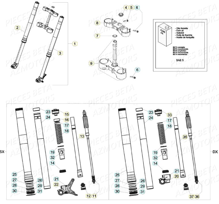 Fourche BETA Pièces Beta RR 4T 390 Enduro - (2020)