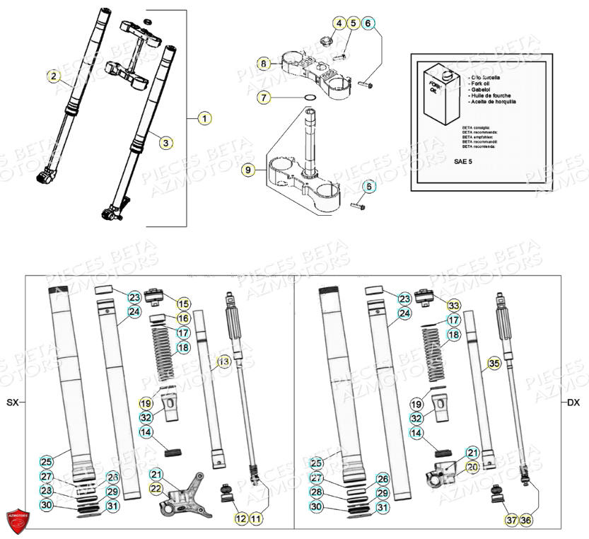 Fourche BETA Pièces Beta RR 4T 390 Enduro - (2021)