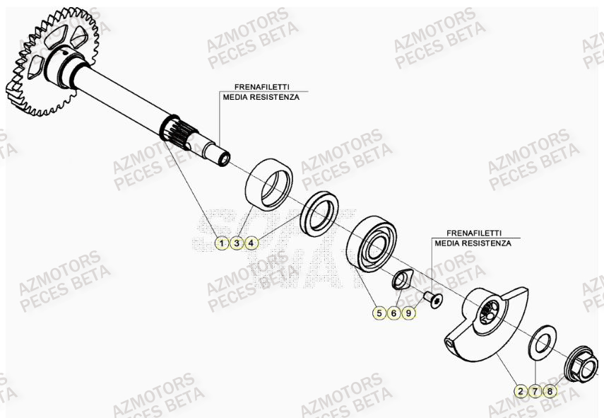 ARBRE EQUILIBRAGE BETA RR 390 4T 2022