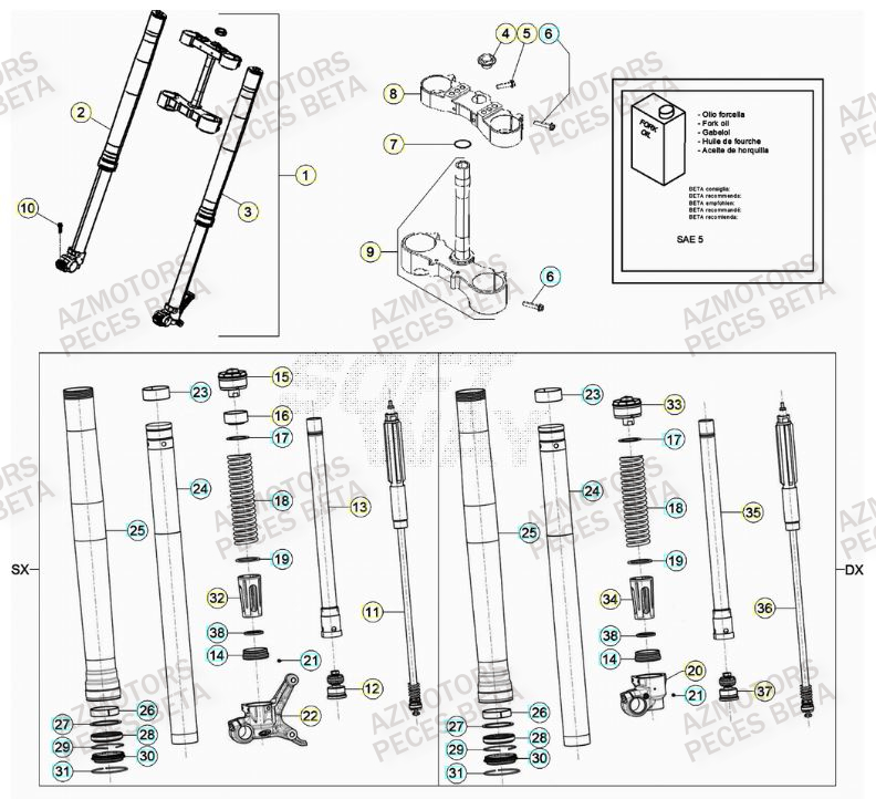 Fourche BETA Pièces Beta RR 4T 390 Enduro - (2022)