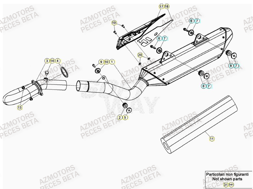 Echappement BETA Pièces Beta RR 4T 390 Enduro - (2023)