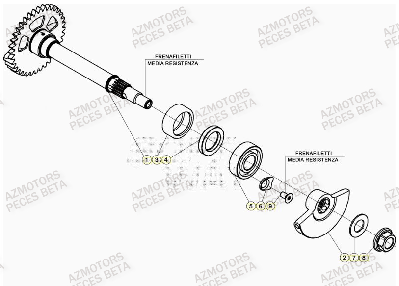Arbre Equilibrage BETA Pièces BETA RR 4T RACING 390 - (2021)

