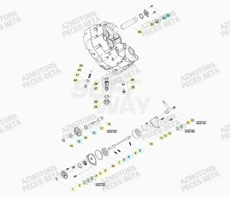 POMPE A HUILE pour RR 430 RACING 16