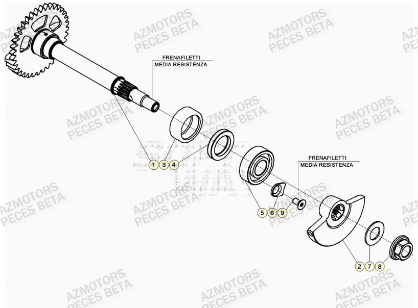 Arbre Equilibrage BETA Pièces BETA RR 4T RACING 430 - (2022)

