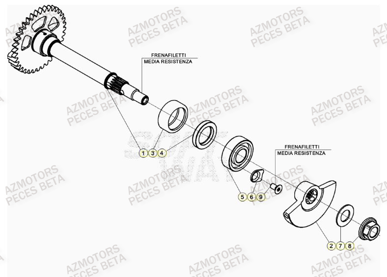 Arbre Equilibrage BETA Pièces BETA RR 4T RACING 430 - (2023)

