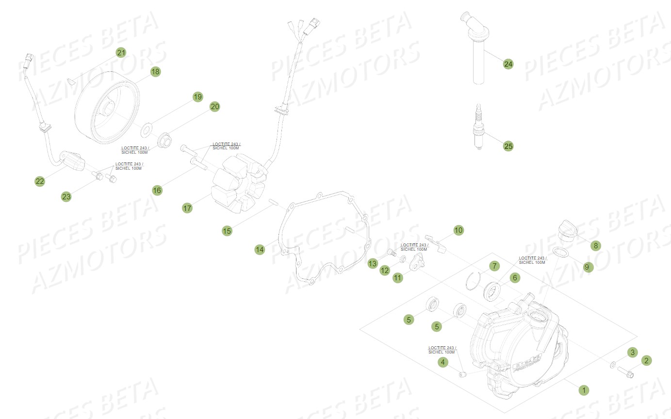 Allumage BETA Pièces Beta RR 4T 450 Enduro - 2010