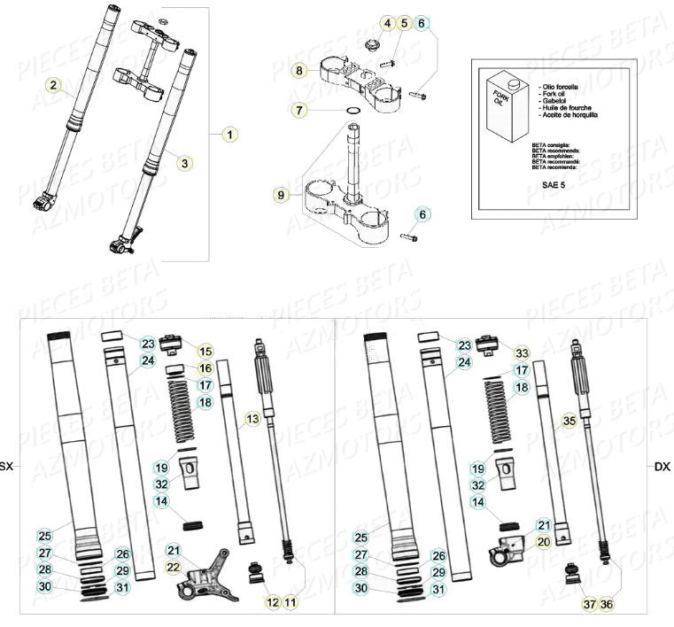 Fourche BETA Pièces Beta RR 4T 480 Enduro - (2020)