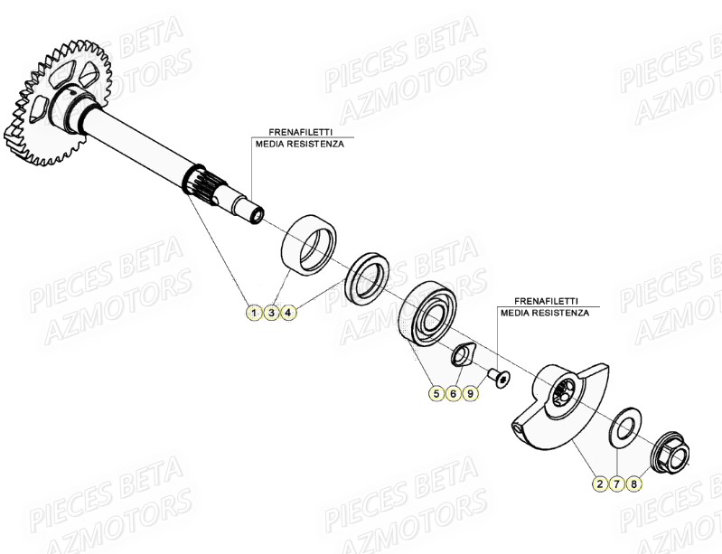 Arbre D Equilibrage BETA Pièces Beta RR 4T 480 Enduro - (2021)