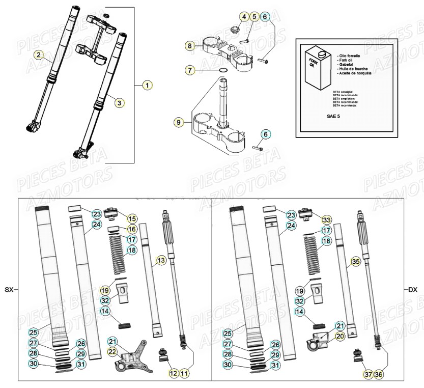 Fourche BETA Pièces Beta RR 4T 480 Enduro - (2021)