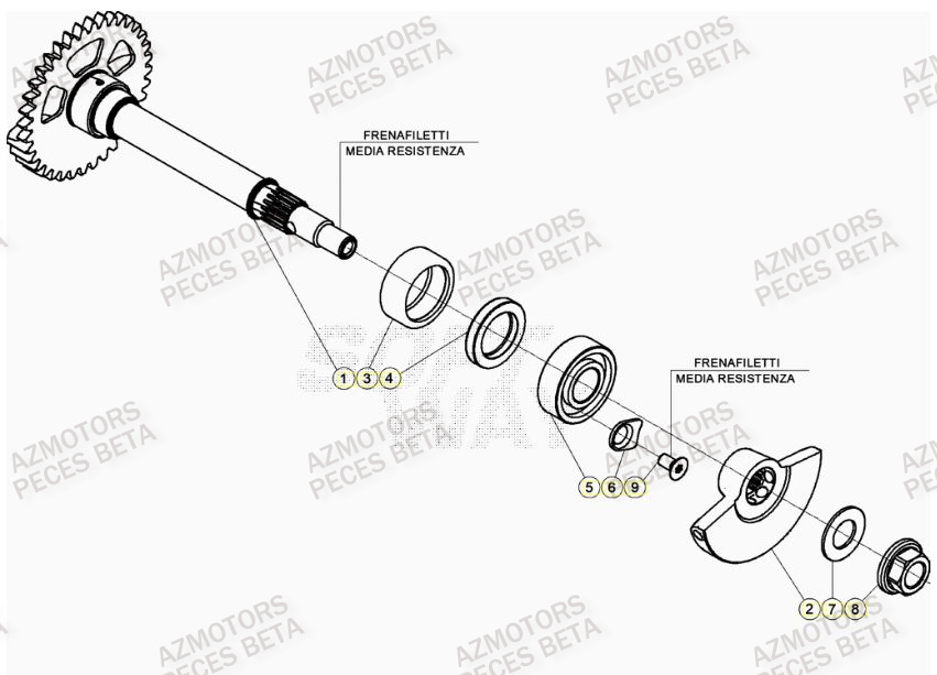Arbre Equilibrage BETA Pièces Beta RR 4T 480 Enduro - (2023)