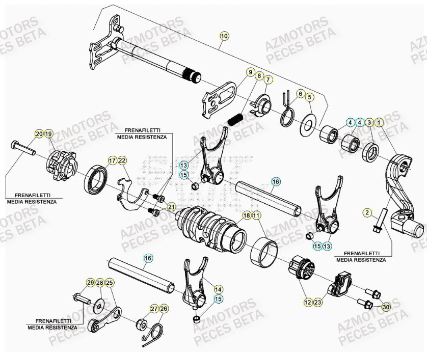 Selecteur De Vitesses BETA Pièces Beta RR 4T 480 Enduro - (2023)