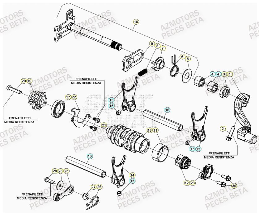 SELECTEUR_DE_VITESSES BETA Pièces Beta RR 4T 480 Enduro - (2023)