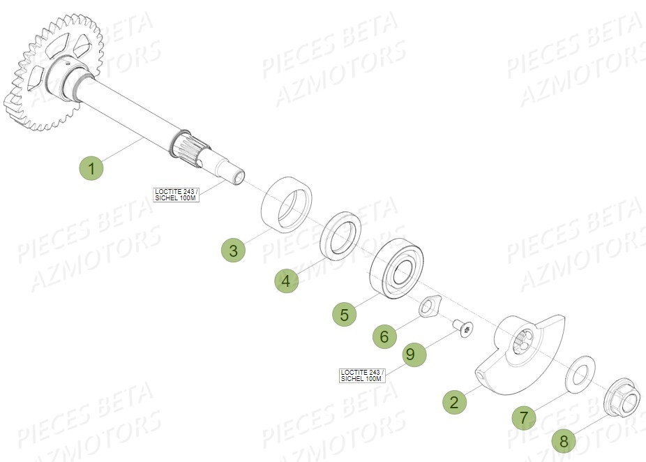 Arbre Equilibrage BETA Pièces BETA RR 4T RACING 480 - (2019)

