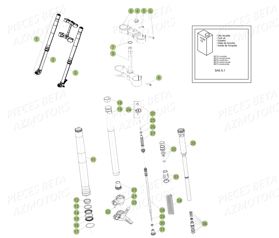 Fourche Tube De Fourche BETA Pièces BETA RR 4T RACING 480 - (2019)

