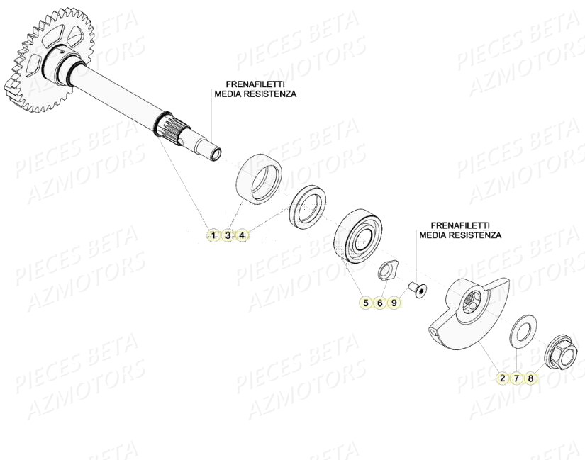 Arbre D Equilibrage BETA Pièces BETA RR 4T RACING 480 - (2020)

