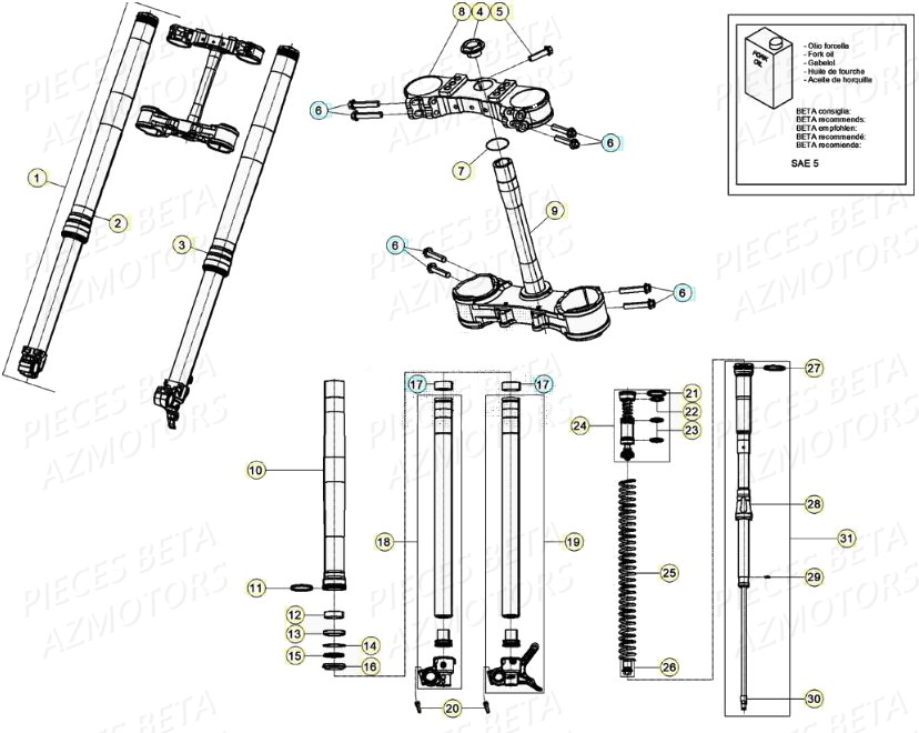 Fourche BETA Pièces BETA RR 4T RACING 480 - (2020)

