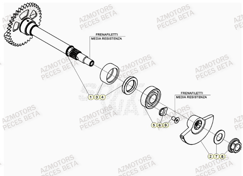 Arbre Equilibrage BETA Pièces BETA RR 4T RACING 480 - (2022)

