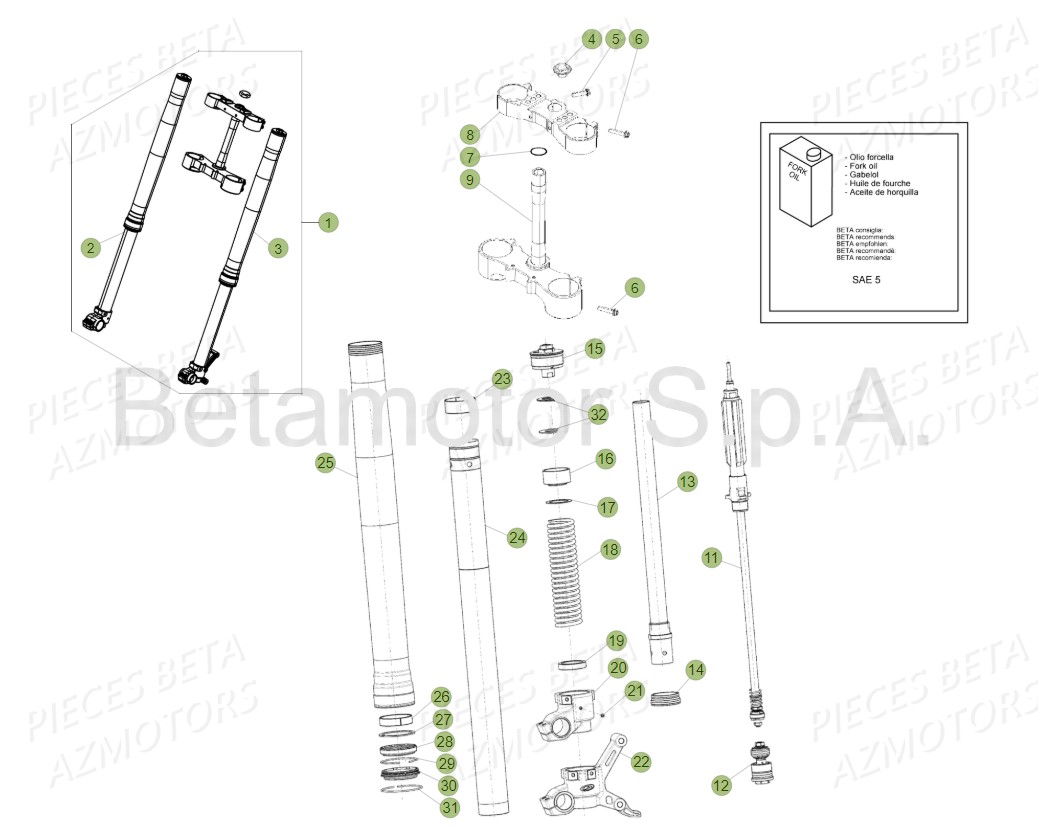 Fourche Tube De Fourche BETA Pièces Beta RR 4T 430 Enduro - 2018