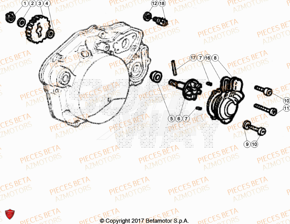 Pompe A Eau BETA Pièces Beta RR 50 SPORT - 2020