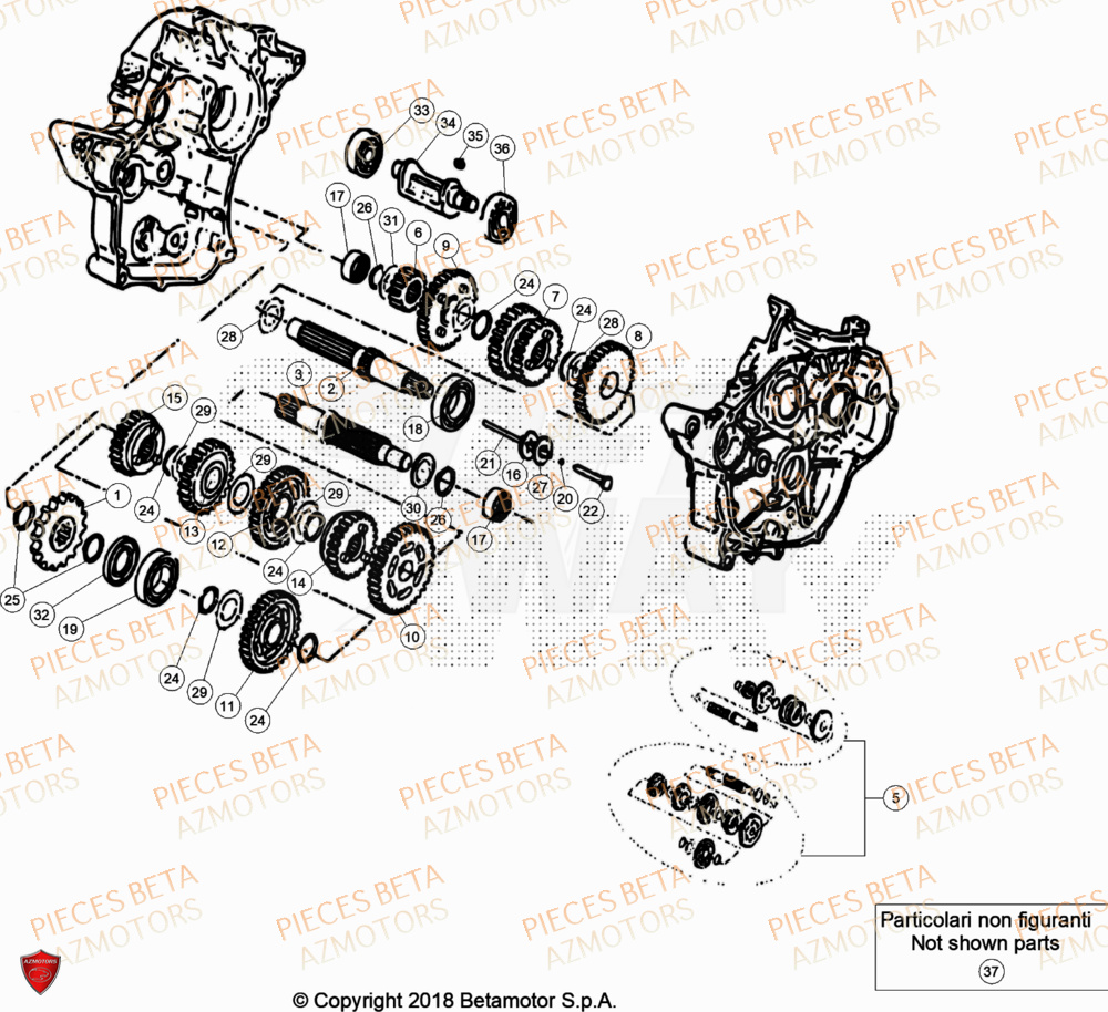 Transmission BETA Pièces Beta RR 50 SPORT - 2020
