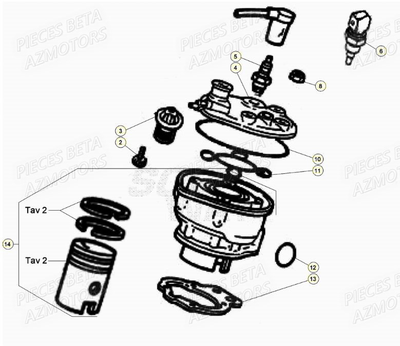 Cylindre BETA Pièces Beta RR 50 SPORT - 2021-2022