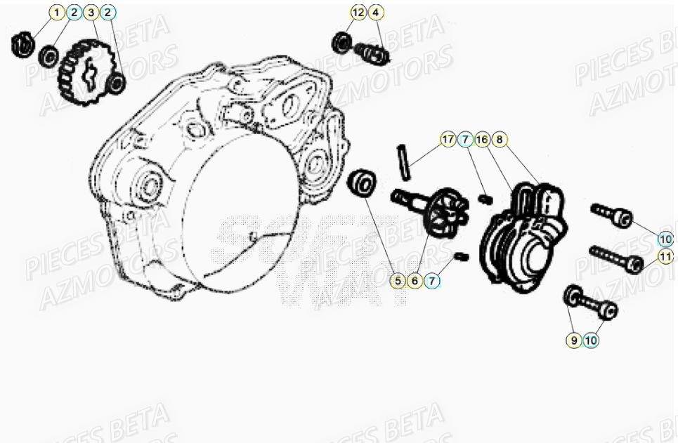 Pompe A Eau BETA Pièces Beta RR 50 SPORT - 2021-2022