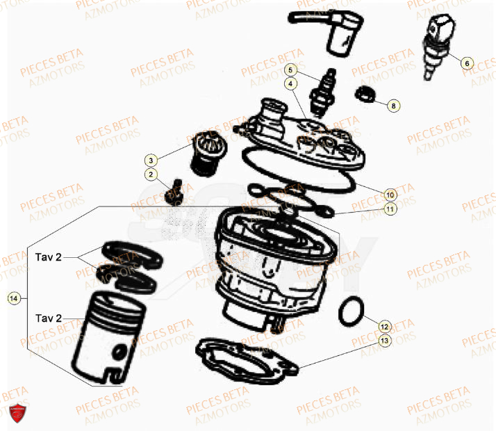 Cylindre BETA Pièces Beta RR 50 SPORT - 2023-2024