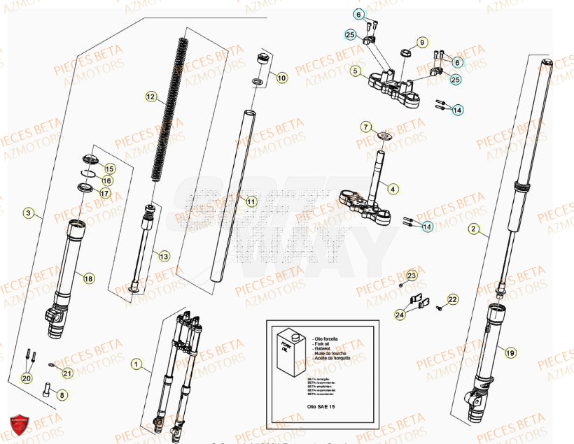 Fourche BETA Pièces Beta RR 50 SPORT - 2023-2024