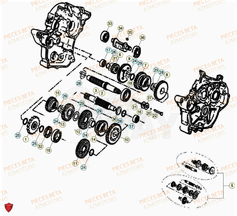 Transmission BETA Pièces Beta RR 50 SPORT - 2023-2024