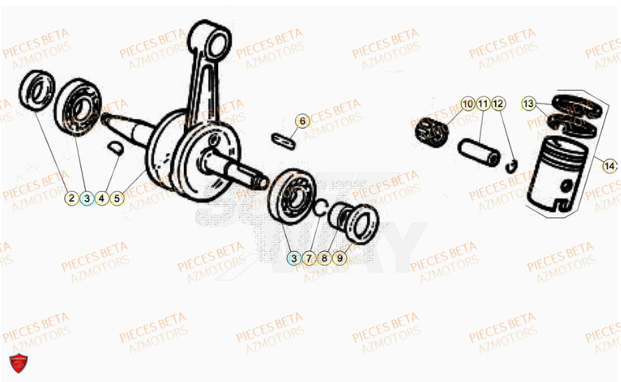 Vilebrequin BETA Pièces Beta RR 50 SPORT - 2023-2024