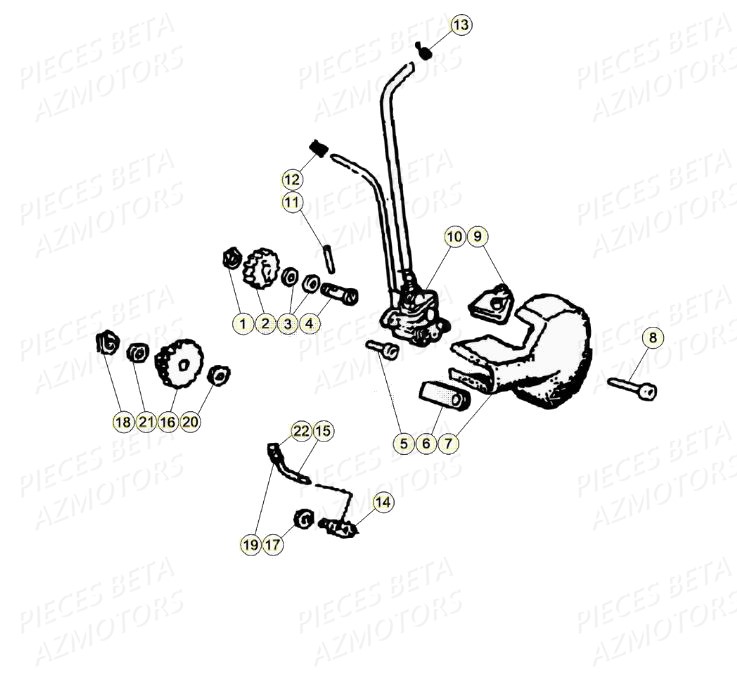 Pompe A Huile BETA Pièces Beta RR 50 STANDARD - 2020