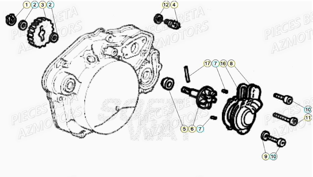 Pompe A Eau BETA Pièces Beta RR 50 STANDARD - 2021-2022
