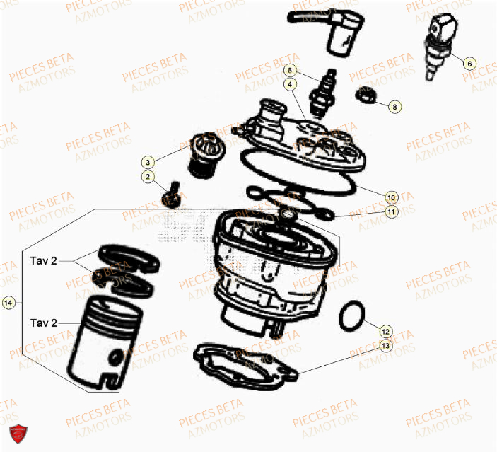 Cylindre BETA Pièces Beta RR 50 STANDARD - 2023-2024