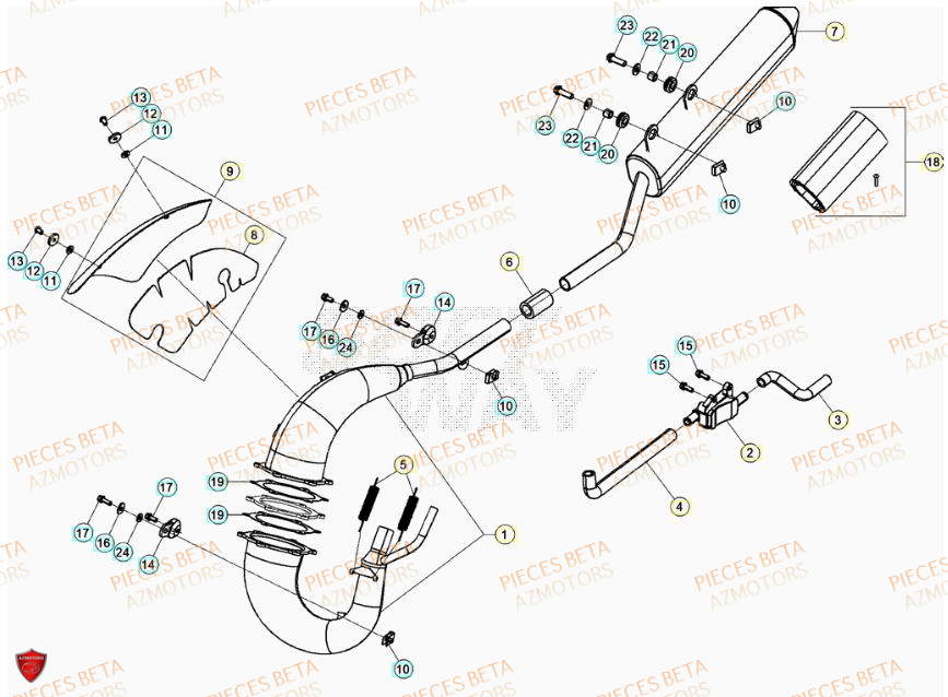 Echappement BETA Pièces Beta RR 50 STANDARD - 2023-2024