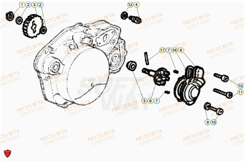 Pompe A Eau BETA Pièces Beta RR 50 STANDARD - 2023-2024