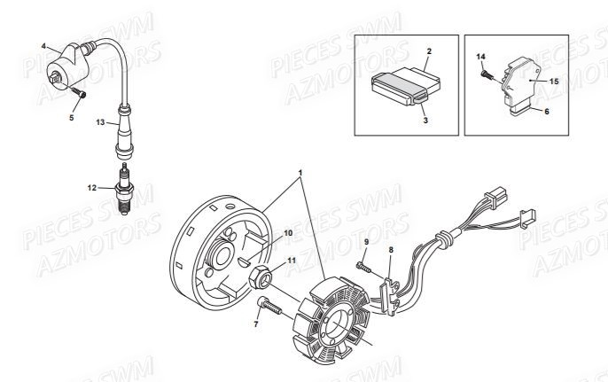 Alternateur SWM Pieces SWM Origine RS 500R ENDURO (2016)
