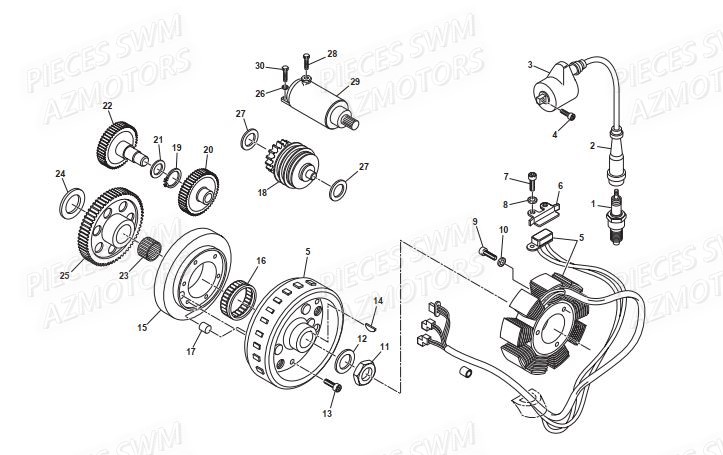Allumage SWM Pieces SWM ENDURO RS 650R