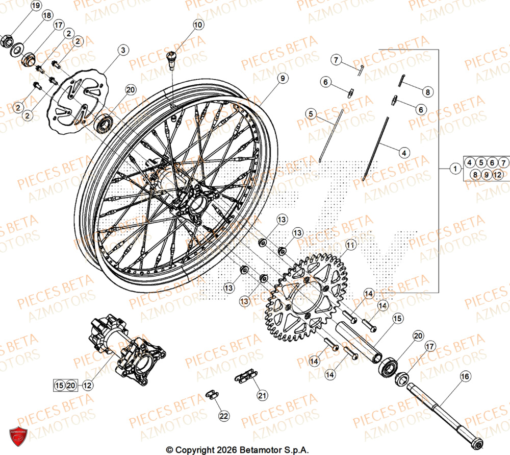 Roue Arriere BETA Pièces BETA SINCRO 300 2T - 2026