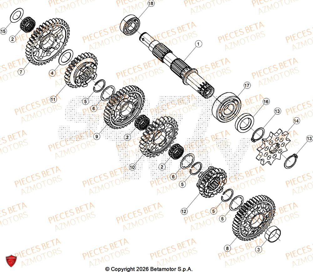 Transmission BETA Pièces BETA SINCRO 300 2T - 2026
