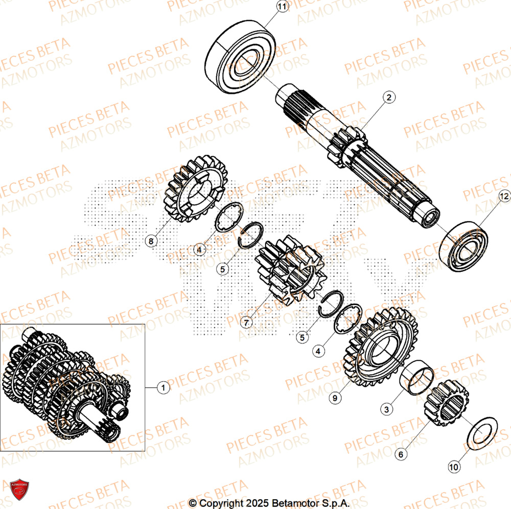 Arbre Primaire BETA Pieces BETA TRIAL SINCRO 300 2T SS - (2026)