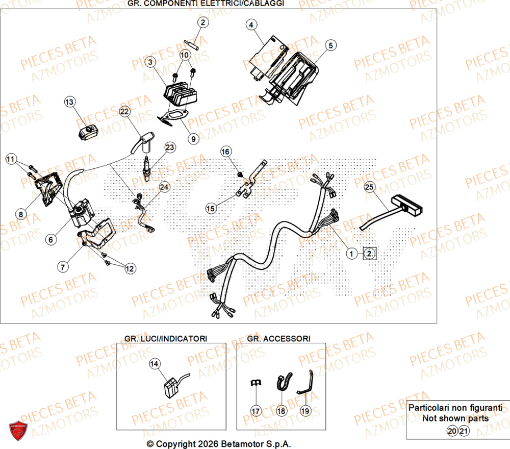 Equipement Electrique BETA Pieces BETA TRIAL SINCRO 300 2T SS - (2026)