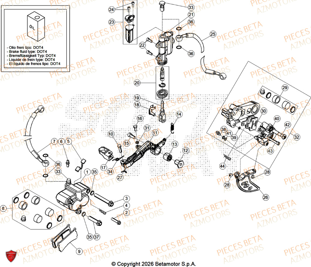 Freins BETA Pieces BETA TRIAL SINCRO 300 2T SS - (2026)
