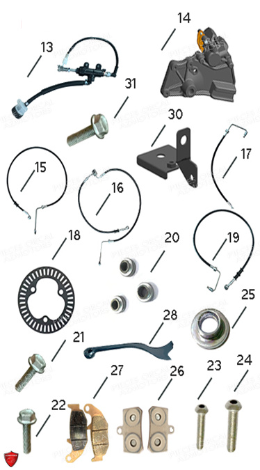 Freinage pour SK01 125 Euro5