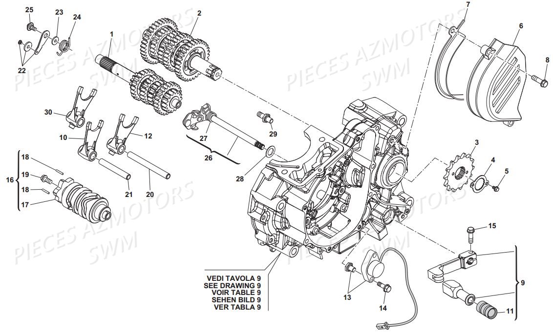 COMMANDE DE VITESSE SWM SM 125 R SUPERMOTARD