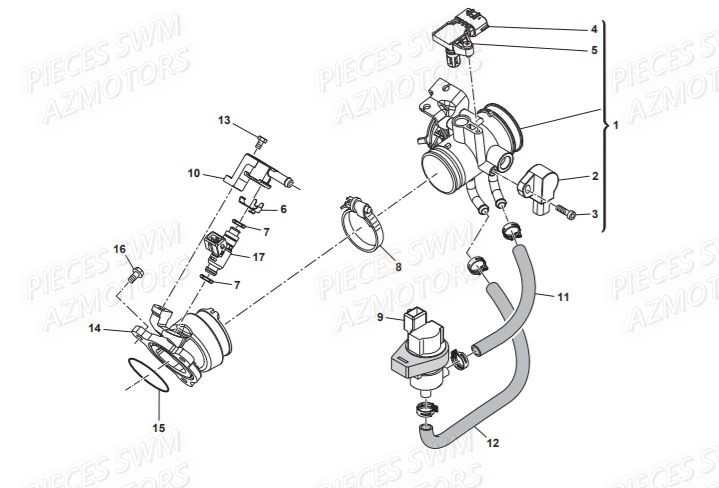 Corps Papillon  Pieces SWM Origine VAREZ 125 E4 (2020)