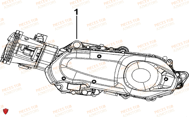 Moteur TGB Pieces TGB BELLAVITA_300 (No Serie RFCDJCDJA...Type: DJC)

