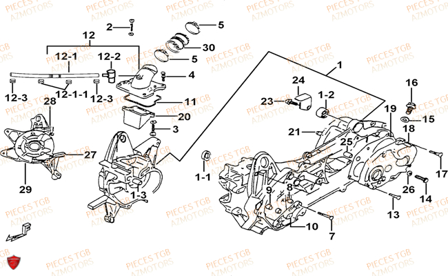 Carter Moteur TGB Pieces TGB EXPRESS_50 (No Serie RFCBK1BKB...Type: BK1-B)