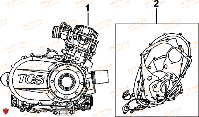 Moteur TGB Pieces TGB FARM 550 EPS (No Serie RFCFWGFEH.. Type: FWG-HFET)