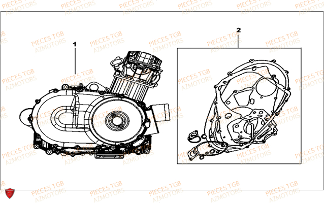 Moteur TGB Pieces TGB TARGET 460 IRS (No Serie RFCFBFVFD...Type: VSF-D)