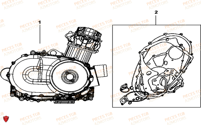Moteur TGB Pieces TGB TARGET_F 500/550 IRS GUNNER_550 (No Serie RFCFBEVGD... Type: VSG-D)